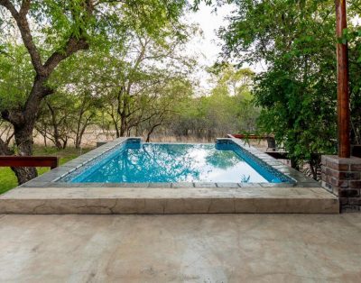 Turaco Lodge – Family Room