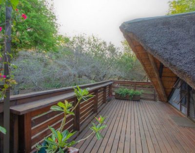 Treehouse@ZinkwaziBush