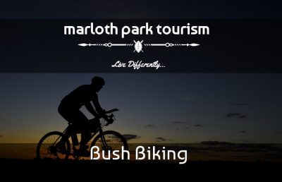 Bush Biking New